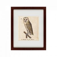 картина: one owl, 1560 в Набережных Челнах