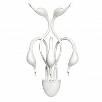 бра lightstar cigno collo wt 751656 в Набережных Челнах