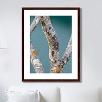 картина: trees on the galapagos islands, ecuador no3 в Набережных Челнах