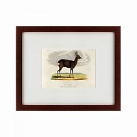 картина: a roebuck, 1830 в Набережных Челнах