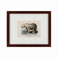 картина: white polar bear on an ice, 1830 в Набережных Челнах