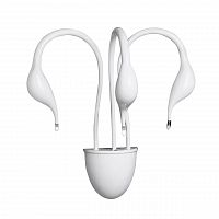 бра lightstar cigno collo wt 751636 в Набережных Челнах