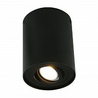 потолочный светильник arte lamp a5644pl-1bk в Набережных Челнах