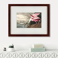 картина: roseate spoonbill, 1827 в Набережных Челнах