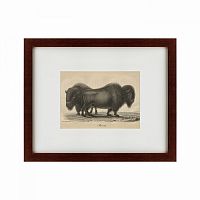 картина: bison, 1828 в Набережных Челнах