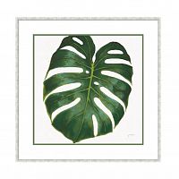 постер monstera зеленый в Набережных Челнах