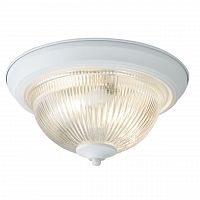 потолочный светильник arte lamp aqua a9370pl-2wh в Набережных Челнах