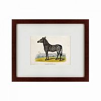 картина: a zebra, 1830 в Набережных Челнах