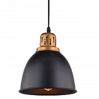 подвесной светильник arte lamp eurica a4245sp-1bk в Набережных Челнах