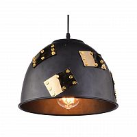 подвесной светильник arte lamp eurica a6023sp-1bk в Набережных Челнах