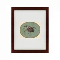 картина: spider, 1690 в Набережных Челнах