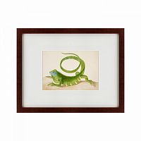 картина: green iguana, 1701 в Набережных Челнах