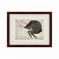 картина: signs of zodiac taurus, 1825 в Набережных Челнах