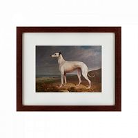 картина: portrait of a greyhound, 1744 в Набережных Челнах