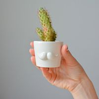 набор для выращивания eco мини-кашпо «усы» в Набережных Челнах