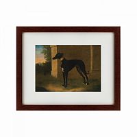 картина: portrait of a greyhound called pompon, 1746 в Набережных Челнах