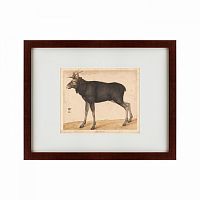картина: moose, 1560 в Набережных Челнах