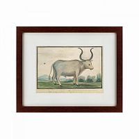 картина: cape ox, 1778 в Набережных Челнах