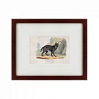 картина: a caracal or lynx, 1830 в Набережных Челнах