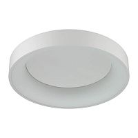 потолочный светодиодный светильник odeon light sole 4062/50cl в Набережных Челнах